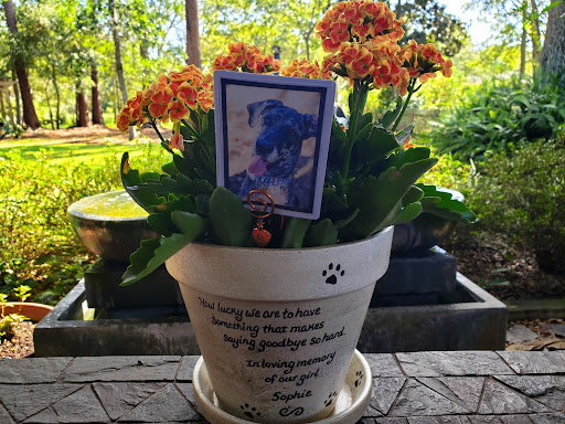 Sand pet memorial planter color option